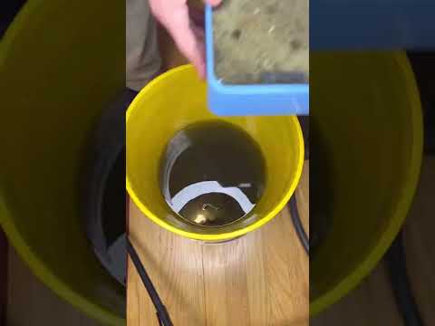 Cleaning a fish