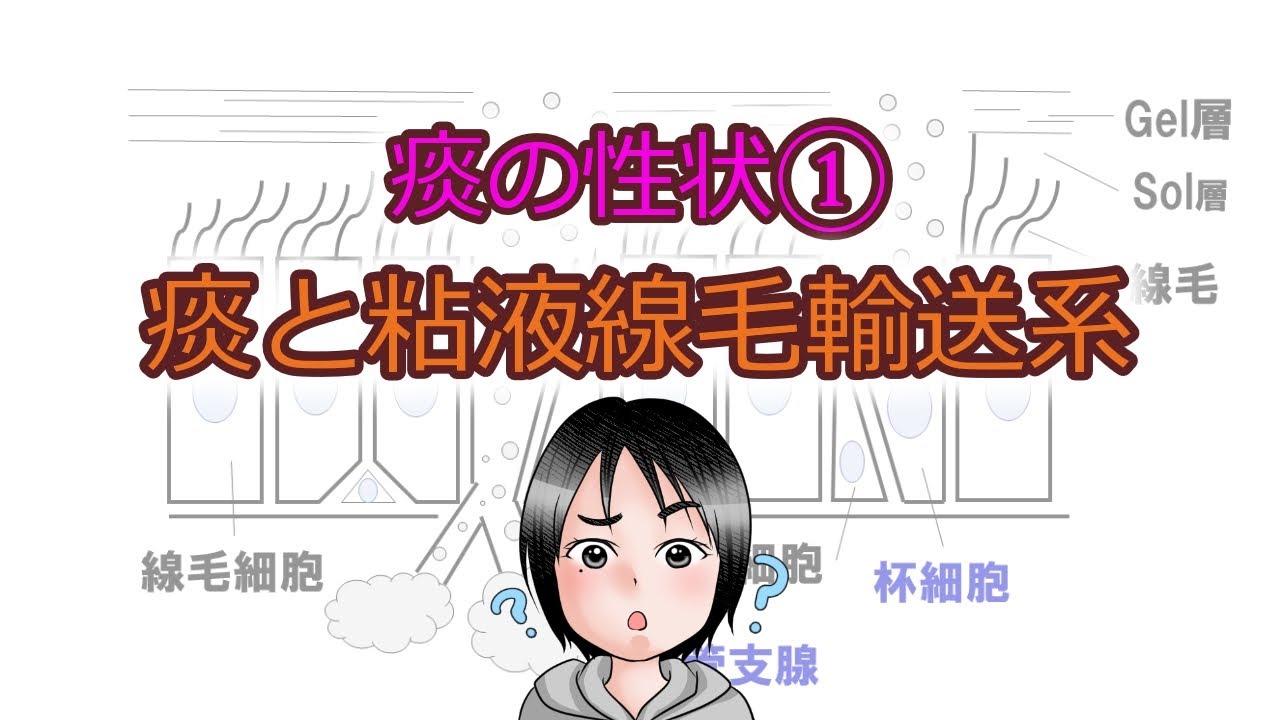 痰の性状①痰と粘液線毛輸送系 - YouTube