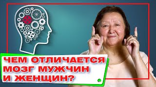 Чем отличается мозг мужчин и женщин