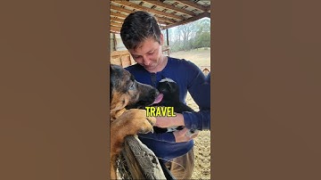 What Really Happened to Brandon Gibbs from 90 Day Fiancé #90dayfiance #brandongibbs #tlc #realitytv