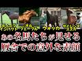 勝負の世界で華麗な姿から想像できない競走馬たちの意外な日常の素顔とは!?