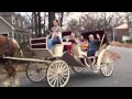 Horse Carriage Ride