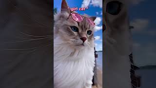 girl cat Vs boys cat ☠️🤐  || #shorts