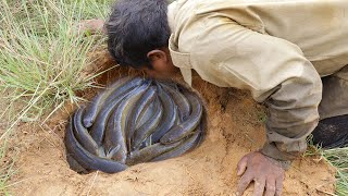 Amazing Dry Season 2020   Find n Catch a lot Fish in Secret Hole then Cooking for Dinner