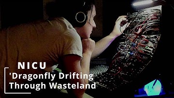 "Dragonfly Drifting Through Wasteland" - 6 HOURS of Ambient Modular Synth (Moog Mother-32 + DFAM)