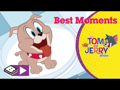 Tom And Jerry | Best Moments From Tyke | Boomerang