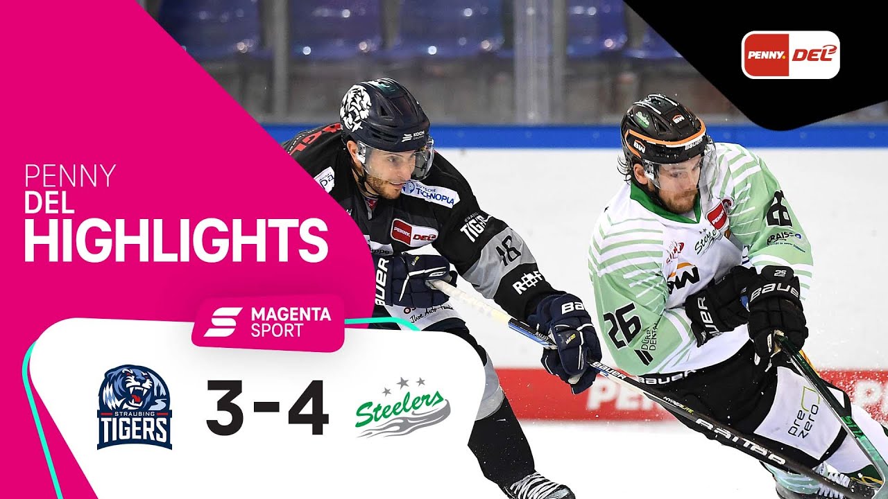 Straubing Tigers - Bietigheim Steelers 8