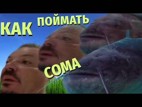 Как поймать Сома Сергея Симонова за язык
