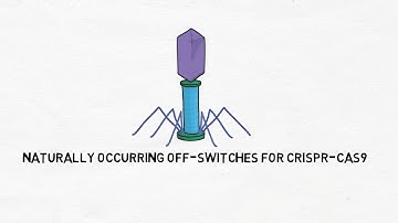 Naturally Occurring Off-Switches in CRISPR-Cas9