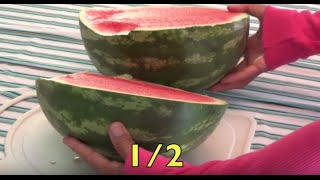 WATERMELON MATH = Learning  FRACTIONS for KIDS / EDUCATIONAL CHILDREN LEARNING