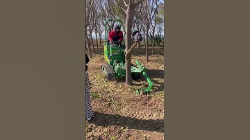 Tree digging, tree removal machinery, good machinery and tools to save time and effort