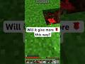 Testing Minecraft Bonemeal on Flowers | Minecraft Survival