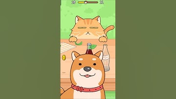 Hide and Seek: Cat Escape 👀😺 Level 20 #shorts