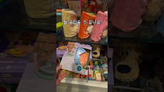 보더콜리 장난감 쇼핑! 과연 뭘 골랐을까요?
