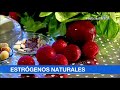 Ojo mujeres: estos alimentos tienen estrógenos para manejar cambios hormonales