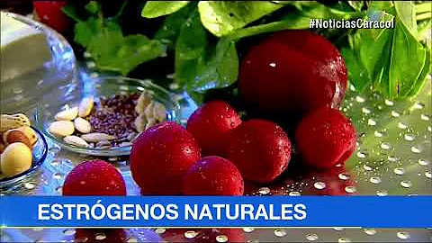 ¿Qué alimentos potencian los estrógenos en la menopausia?