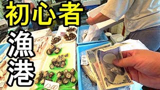 漁港で鮮魚を買う初心者【泉佐野漁協青空市場】