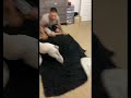 When bulldogs go hyper: pure chaos & joy #fok #crazy