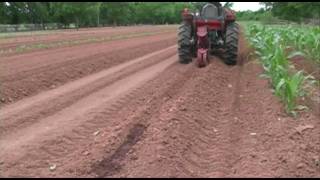 Planting Okra - May 2010 - Growing a Vegetable Garden