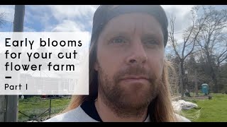 Early blooms for your cut flower farm Part 1