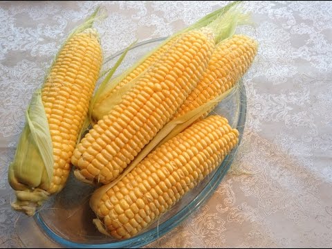 Кукуруза Карамелло: описание сорта, характеристики, посадка и выращивание, отзывы