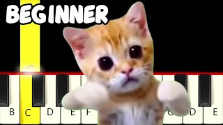 Chinese Bath Song Meme - Fast and Slow (Easy) Piano Tutorial - Beginner