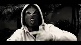 ROGAL DDL - TURBOROWER / NWS