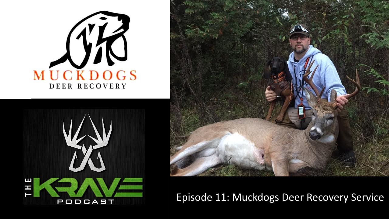 Muckdogs Deer Recovery Service (Ep 11) - YouTube