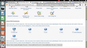 Servidor DNS de multiples dominios