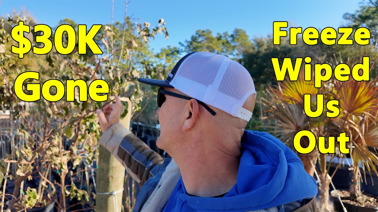 Florida Freeze Wiped Out Our Nursery: What Survived?