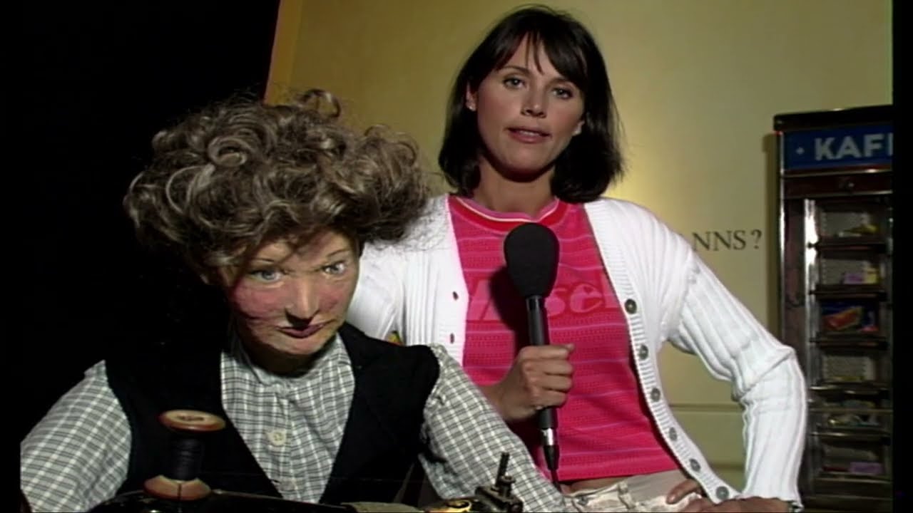 Del 2 av 3 SOMMARSTADEN LANDSKRONA (1995). Landskrona Vision lokal-tv