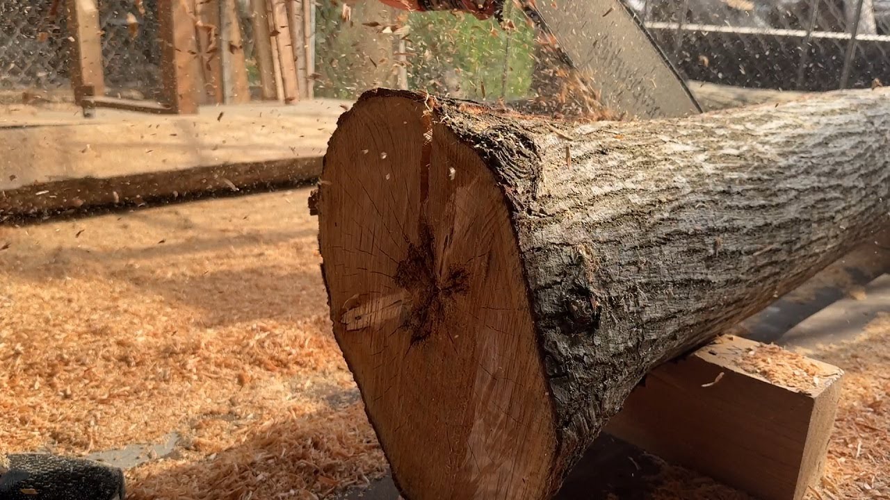 Building A Large Set Of Chairs And Tables From Tree Trunks Broken By ...
