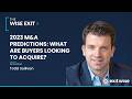 What Are Buyers Looking to Acquire? | Brian Scanlon on The Wise Exit Podcast