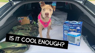 Living in my car with a dog : testing out Arctic Air to cool my car for my dog!