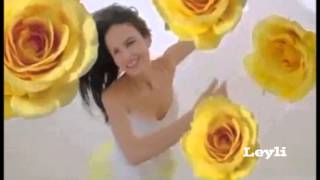 Richard Clayderman - El frágil aroma de las Rosas