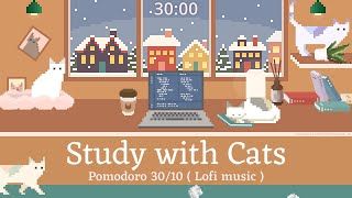 Study with Cats ⛄ Pomodoro Timer 30/10 x Animation | Snowy day study vibes: Warm room, Cats & Lofi