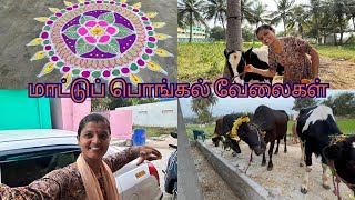 மாட்டுப் பொங்கல் celabration//எங்க வீட்டில் நான் செய்த வேலைகள்🐄🐄#familyvlog #dailyvlog#tamilvlog