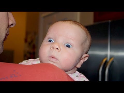 freakouts-&-jumpscares---funniest-baby-videos-or-"your-daily-dose-of-laughing"!