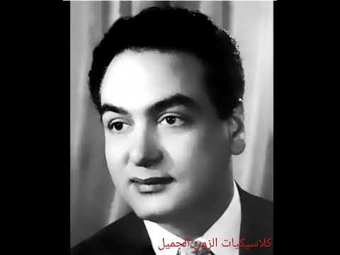 محمد فوزي فين الجمال