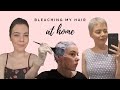 Bleaching My Virgin Hair At Home Using Brad Mondos Guide