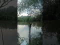 Dòng sông quê em ,