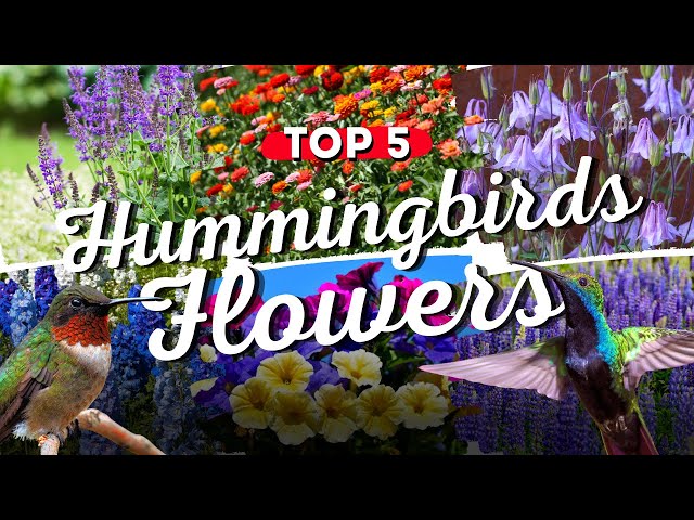 🌸🐦 Top 5 FLOWERS That Will TURN Your Garden Into A Hummingbird HAVEN! 🤯 class=