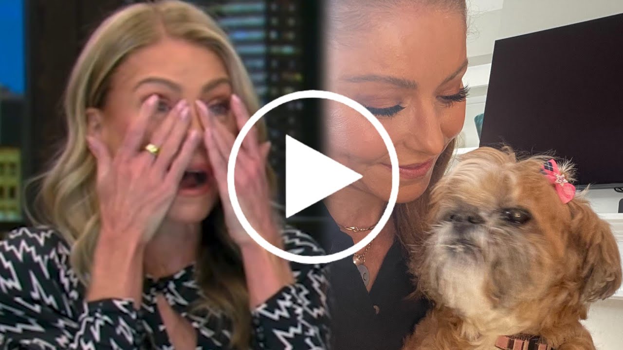 Kelly Ripa Breaks Down on Live as Mark Reveals Death of Beloved Dog