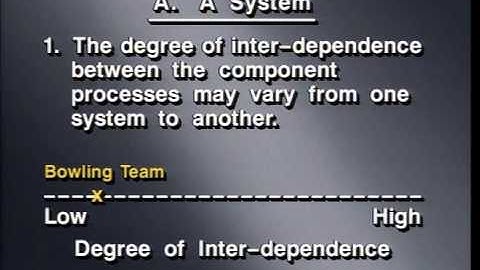 Managing An Organization As A System