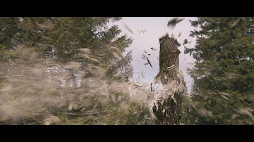 Simulation of Ammunition Hitting a Tree