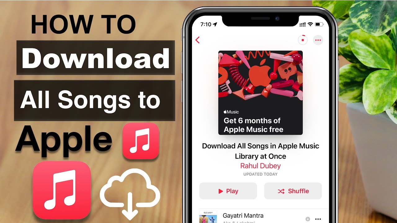 How to Download All Songs in Apple Music Library at Once in a Single Click