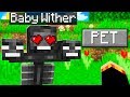 How to Tame a Pet Wither in MINECRAFT!