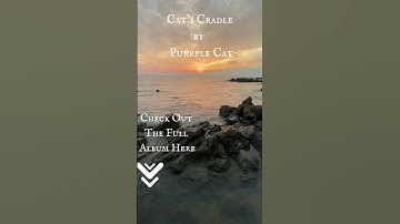 Thumbnail of Cat’s Cradle By Purrpls Cat 🐾 🐈