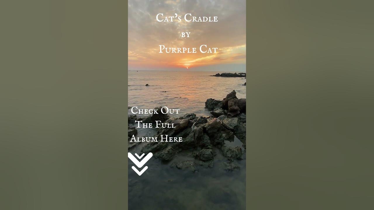 Cat’s Cradle By Purrpls Cat 🐾 🐈