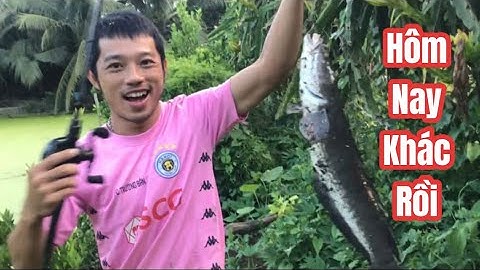Câu cá lóc | xác nhận, lỗi là tại máy quay | rong chơi miền tây #fishing #lurecaloc #rongchoimientay